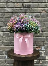 Цветочная композиция из Гипсофила и Розы в шляпной коробке в Пышлицы