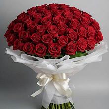 Букет 101 Красная роза Блэк Мэджик в Пышлицы