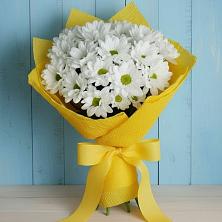 Букет цветов из:  Хризантемы в Пышлицы