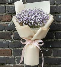 Букет цветов из:  Гипсофила #REPLACE_PRED# Пышлицы