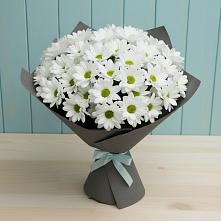 Букет цветов из:  Хризантемы в Пышлицы