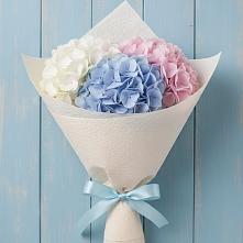 Букет цветов из:  Гортензия в Пышлицы