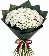 Букет цветов из:  Хризантемы в Пышлицы