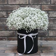 Цветочная композиция из Гипсофила в шляпной коробке в Пышлицы