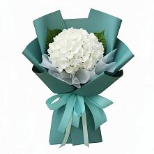 Букет цветов из:  Гортензия в Пышлицы